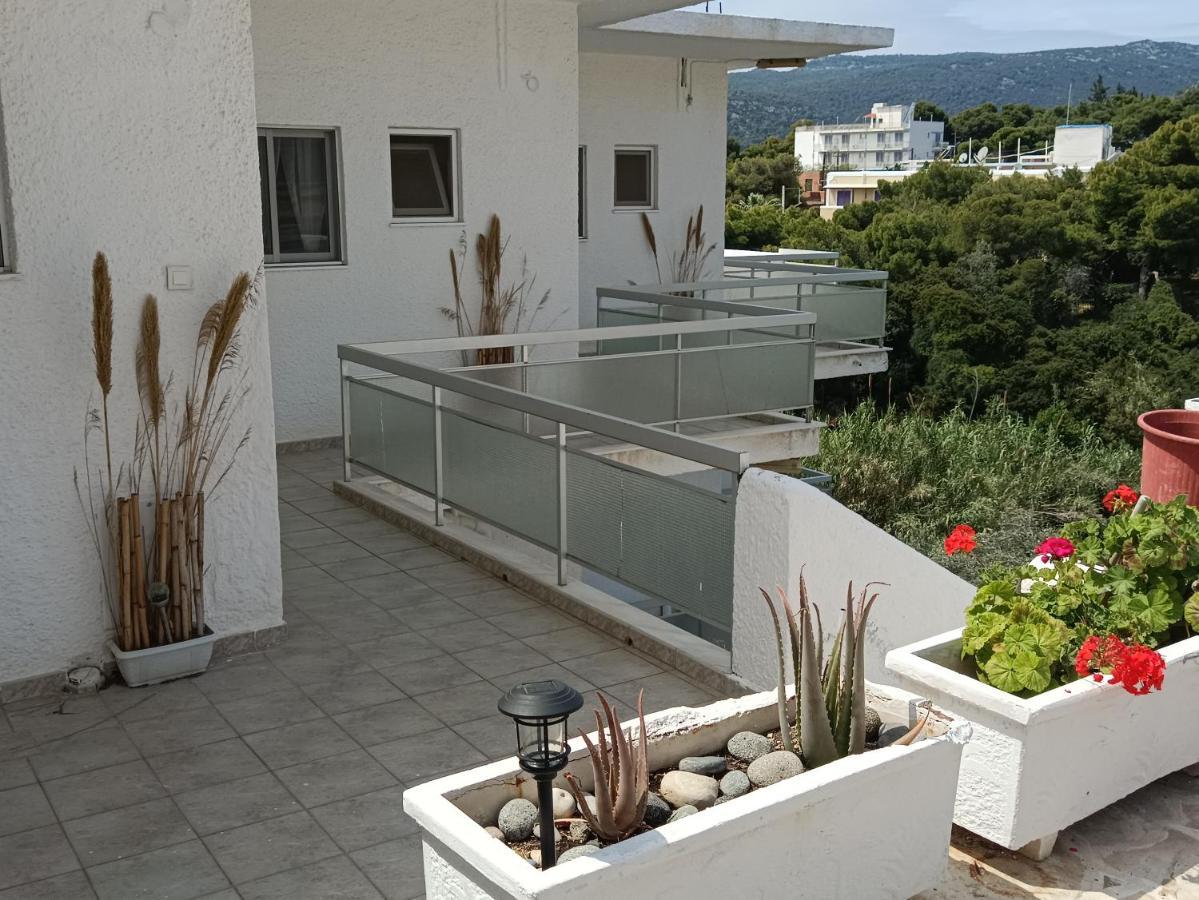 Meltemi Apartments Agia Marina  Dış mekan fotoğraf