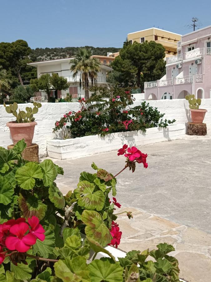 Meltemi Apartments Agia Marina  Dış mekan fotoğraf